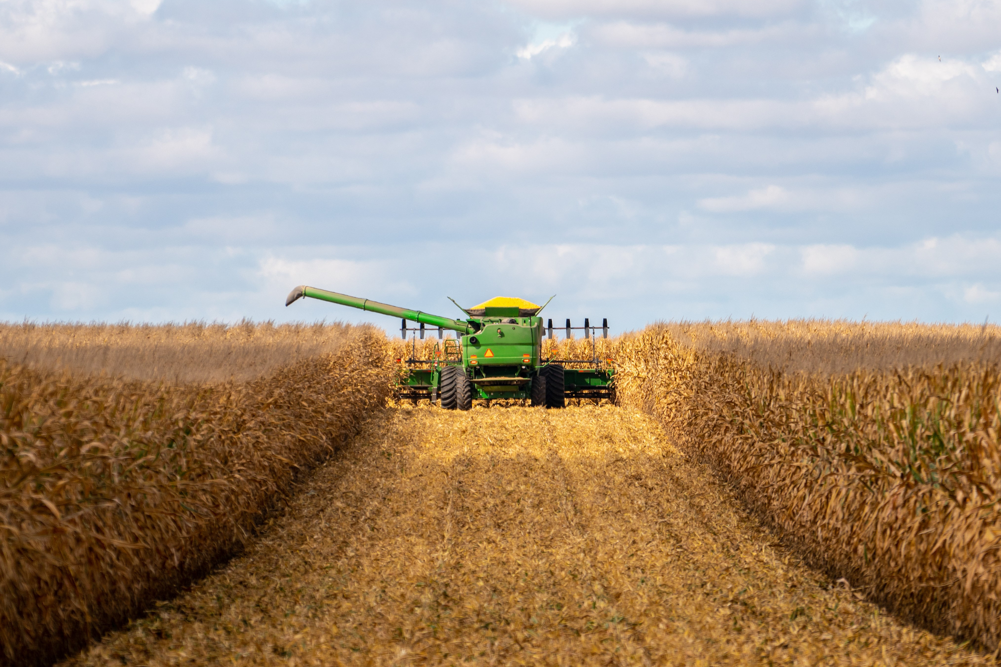 harvest (1).png