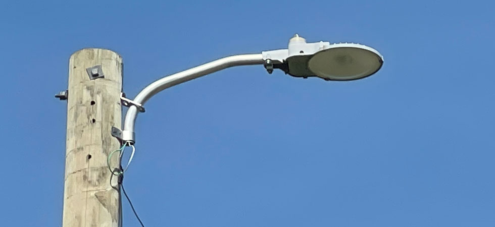 Outdoor security light and pole