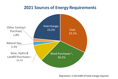 2021 Sources of Energy Requirments Pie Chart